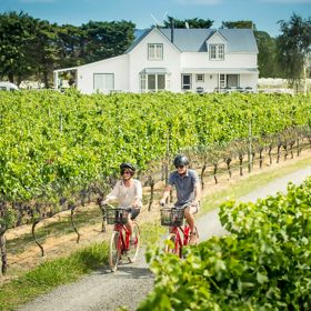 Martinborough vineyard in the Wellington and Wairarapa family itinerary
