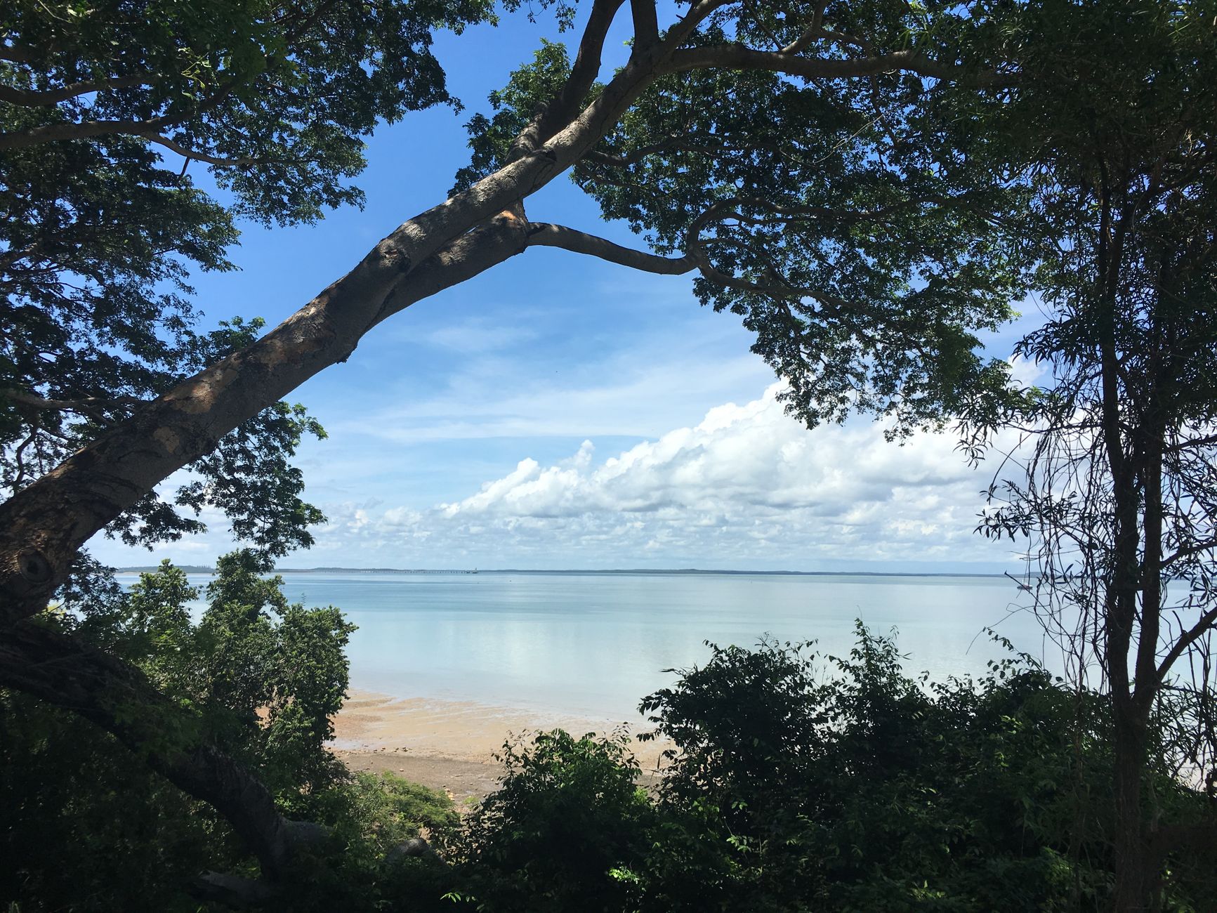 Darwin Family Itinerary: 5 Days of City, Wildlife, and Water destination view