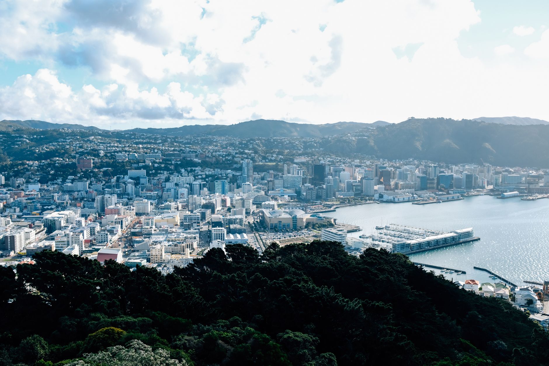 Wellington and Wairarapa · 6-day family itinerary destination view