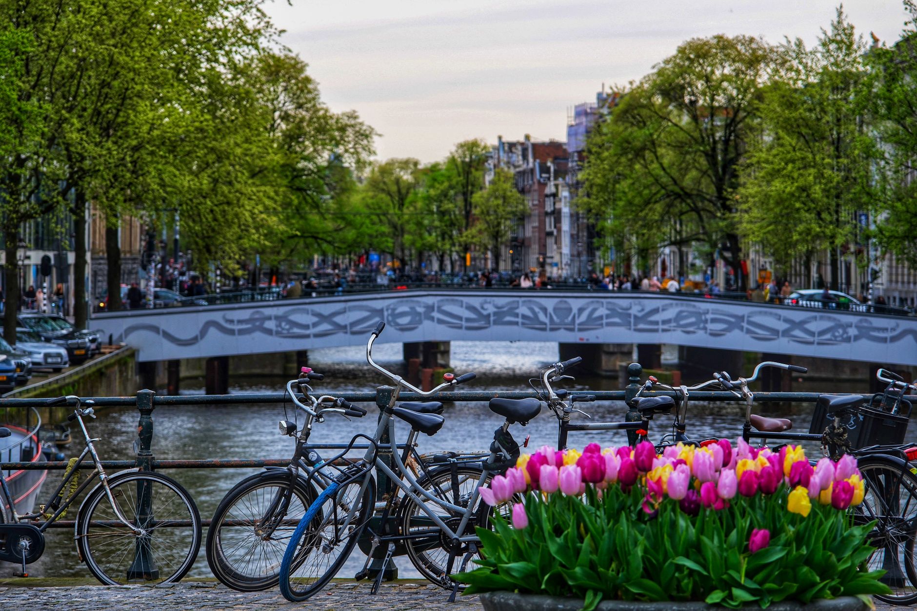 Amsterdam · 7-day validated itinerary destination view