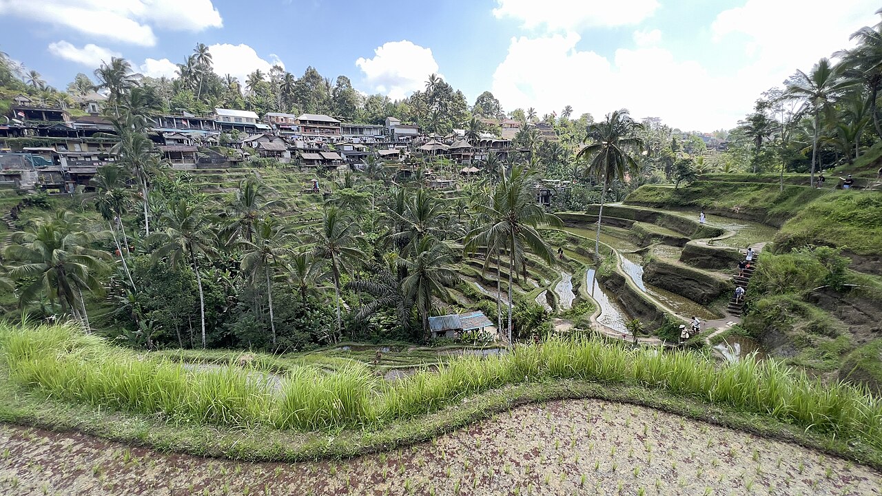 Bali itinerary preview
